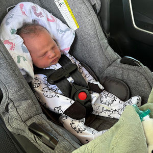 Meet your Posher, Ann